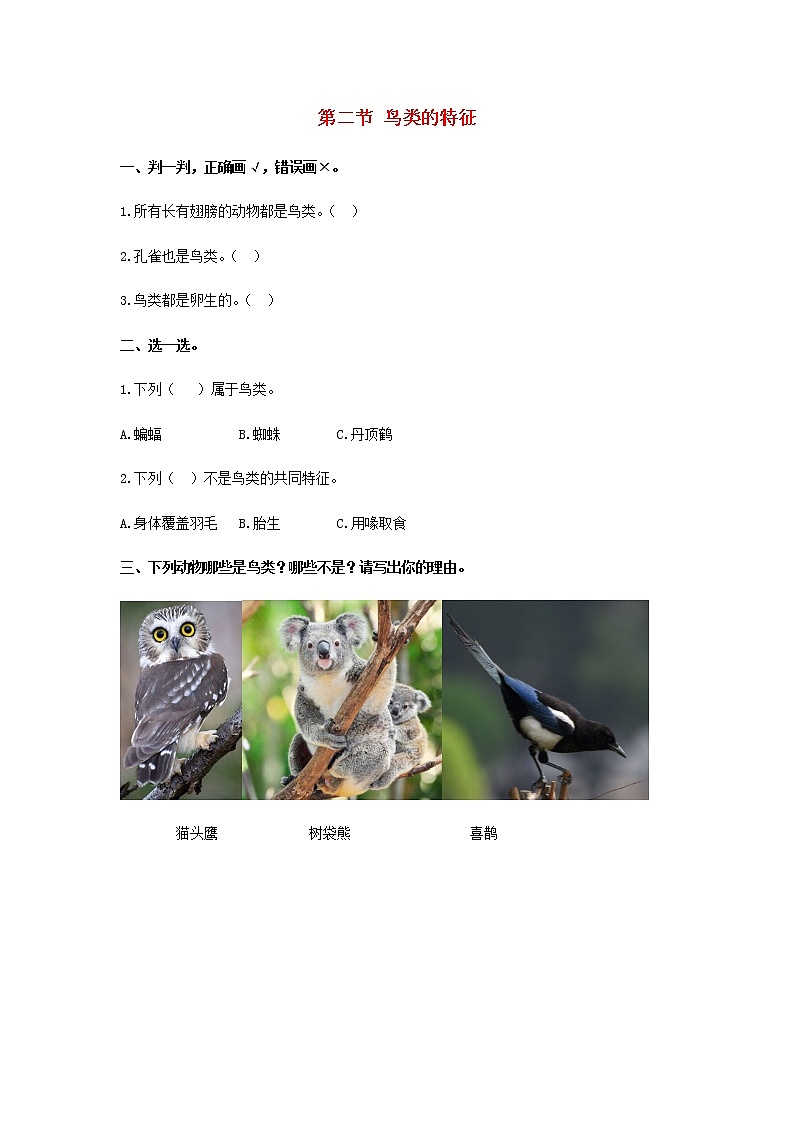 三年级上册科学一课一练三年级科学上册第二单元动物的特征2鸟类的特征同步习题（无答案）大象版_大象版（2017秋）01