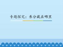 小学科学粤教粤科版四年级上册（新版）8 专题探究：养分藏在哪里示范课课件ppt