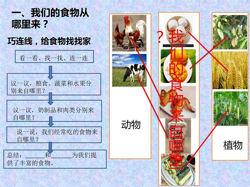 二年级上册科学课件 - 12课《我们的食物》  (共8张PPT)青岛版（五年制）02