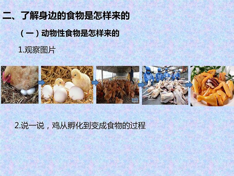 二年级上册科学课件 - 12课《我们的食物》  (共8张PPT)青岛版（五年制）04