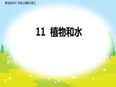 二年级科学上册课件-11.植物和水 (共9张PPT)  青岛版（五年制）