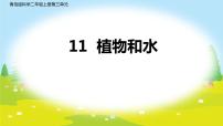 青岛版 (五四制2017)二年级上册第三单元 植物与环境11 植物和水课文配套课件ppt