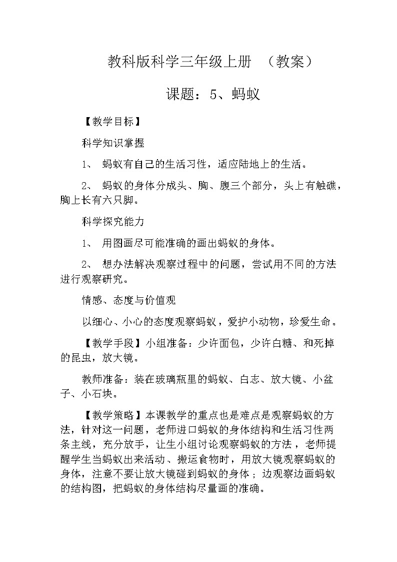 教科版科学三年级上册 （教案）2.5《蚂蚁》01