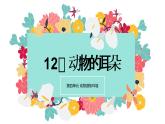 12.《动物的耳朵》PPT课件_科学二年级下册