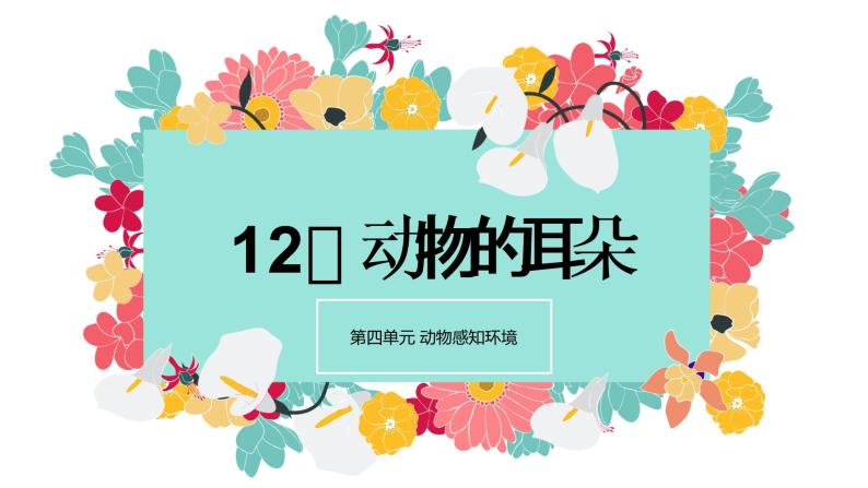 12.《动物的耳朵》PPT课件_科学二年级下册02