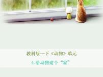 科学一年级下册4.给动物建个“家”评优课课件ppt