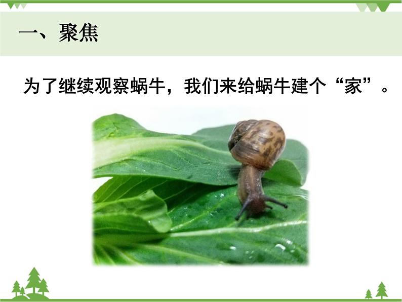 新教科版科学一下2-4《给动物建个“家”》PPT课件+教案+素材02