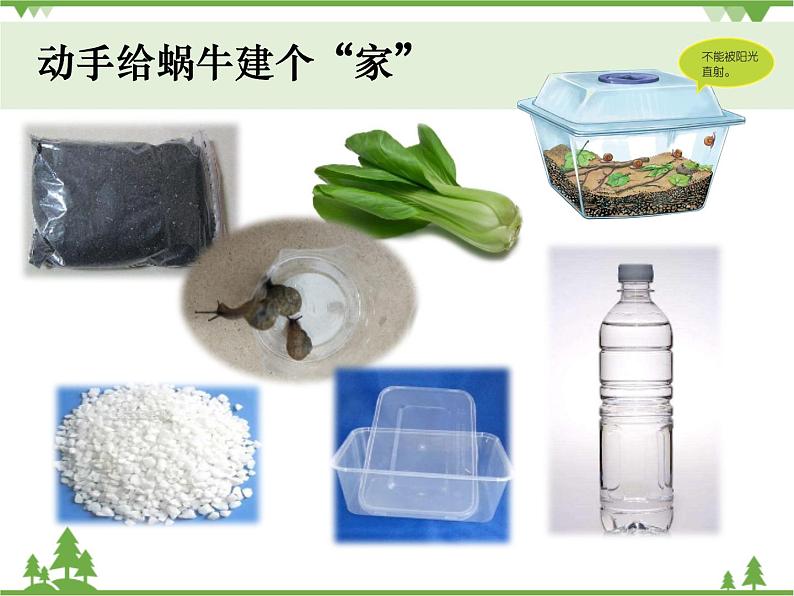 新教科版科学一下2-4《给动物建个“家”》PPT课件+教案+素材06