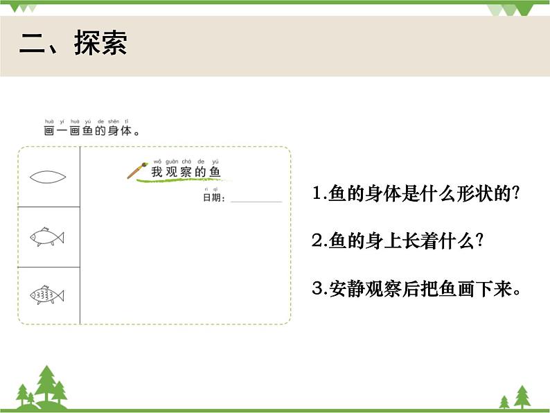 新教科版一下2-5《观察鱼》PPT课件+练习题附答案+教学反思03