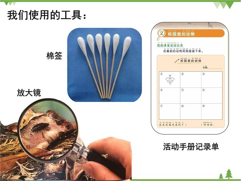 新教科版一下2-2《校园里的动物》PPT课件+教案+素材06