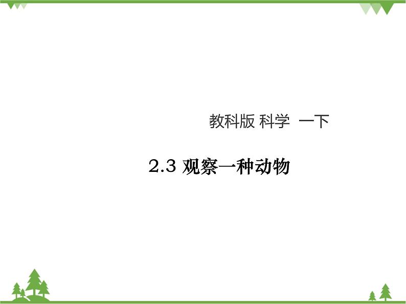 新教科版科学一下2-3《观察一种动物》PPT课件+教案+素材01