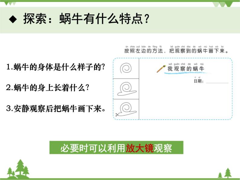 新教科版科学一下2-3《观察一种动物》PPT课件+教案+素材05