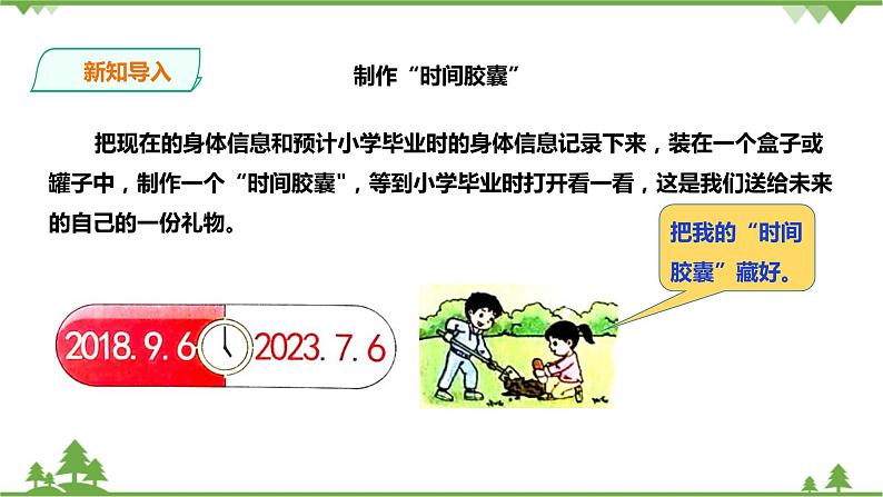 教科版科学二下2.6《身体的“时间胶囊”》PPT课件+教案+习题03