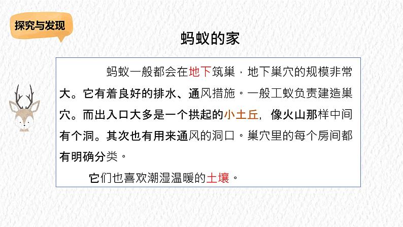 冀人版科学二年级下册 7寻找蚂蚁的家 PPT课件+视频06