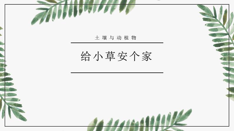 冀人版科学二年级下册 8给小草安个家 PPT课件01