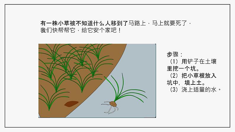 冀人版科学二年级下册 8给小草安个家 PPT课件05