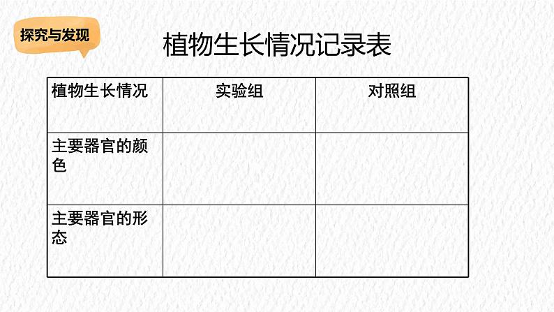 冀人版科学二年级下册 9种豆子 PPT课件+视频08