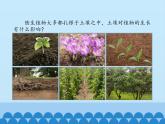青岛版科学六三制一下第9课土壤与植物PPT课件