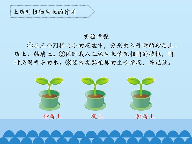 青岛版科学六三制一下第9课土壤与植物PPT课件05