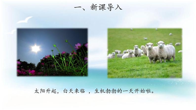 人教版鄂教版科学二年级下册2.4 太阳升起来了 PPT课件+教案03