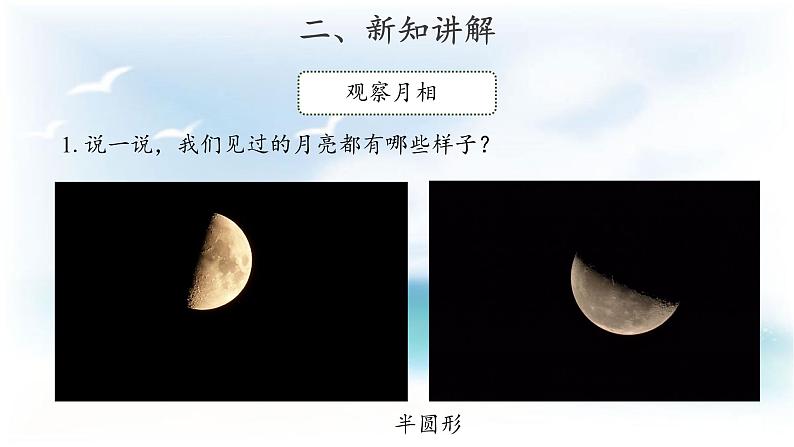 人教版鄂教版科学二年级下册2.5 月亮 PPT课件+教案05
