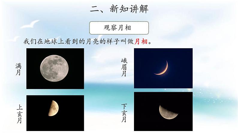 人教版鄂教版科学二年级下册2.5 月亮 PPT课件+教案06