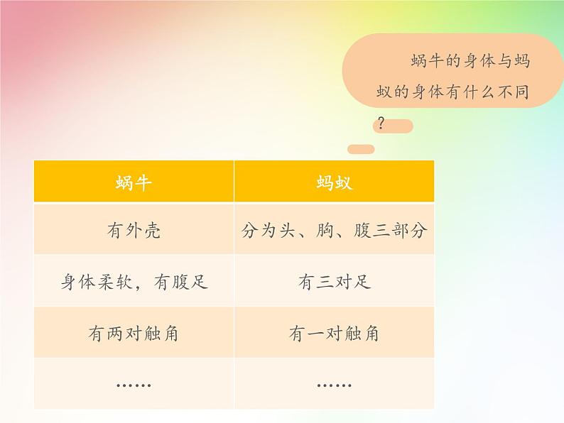 人教版鄂教版科学二年级下册3.8 蜗牛 PPT课件08