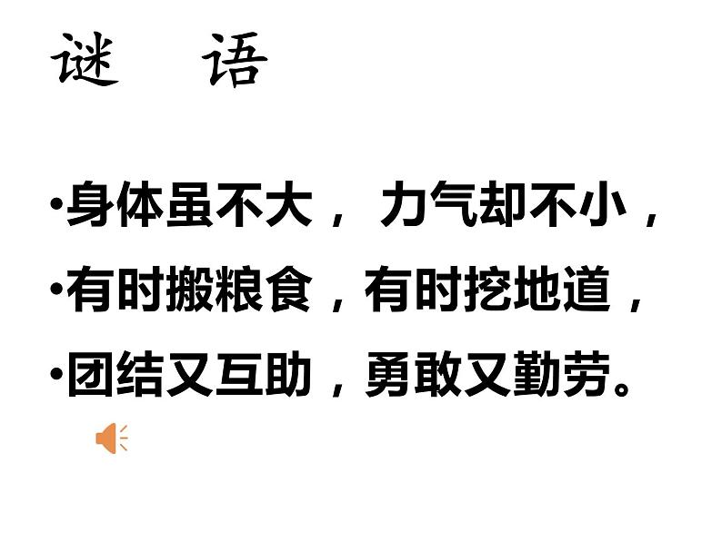 人教版鄂教版科学二年级下册3.7 蚂蚁 PPT课件+教案01