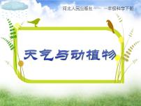 小学科学冀人版 (2017)一年级下册10 天气与动植物多媒体教学课件ppt