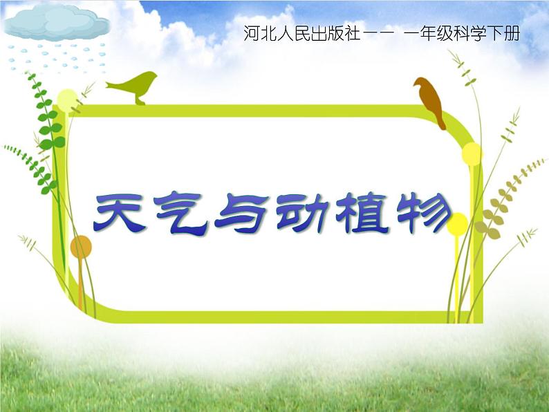 冀人版2017科学一下3.10《天气与动植物》PPT课件+教学设计01