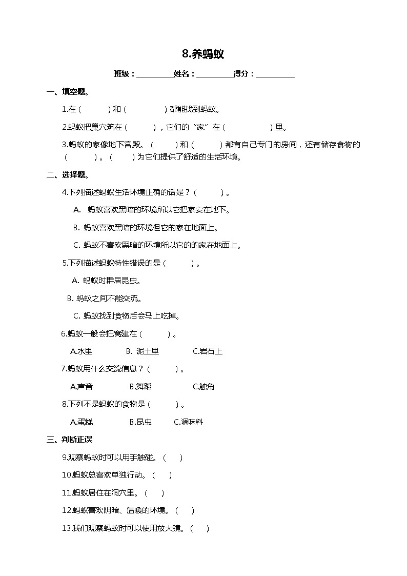 苏教版二年级下册 3.8 养蚂蚁 PPT课件+教案+同步练习01