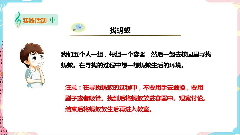 苏教版二年级下册 3.8 养蚂蚁 PPT课件+教案+同步练习06