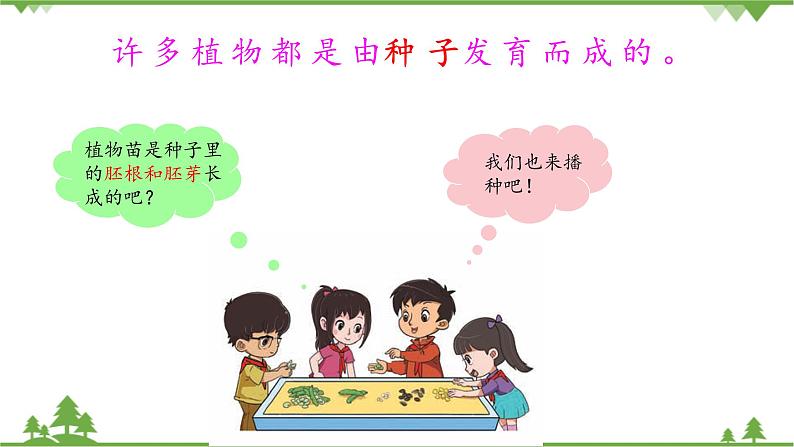 【精品资料】大象版 科学  三年级下册（全册）3.2《播下希望的种子》课件ppt+练习ppt+素材05