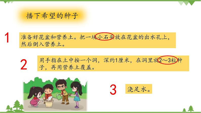 【精品资料】大象版 科学  三年级下册（全册）3.2《播下希望的种子》课件ppt+练习ppt+素材08