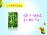 【精品資料】大象版 科學(xué)  三年級下冊（全冊）3.5《碩果累累》課件ppt+練習(xí)ppt