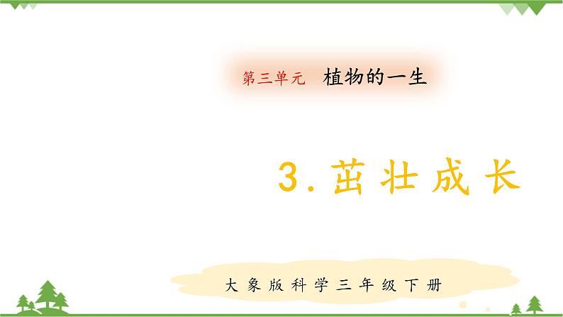 【精品资料】大象版 科学  三年级下册（全册）3.3《茁壮成长》课件ppt+练习ppt+素材01