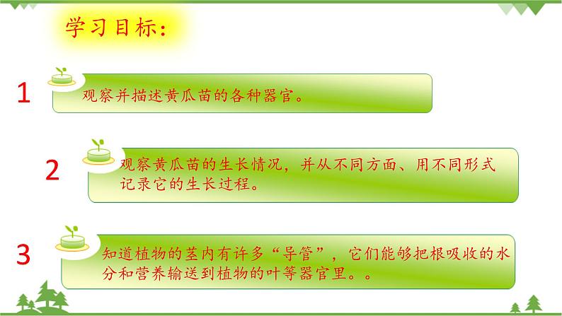 【精品资料】大象版 科学  三年级下册（全册）3.3《茁壮成长》课件ppt+练习ppt+素材02