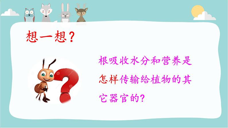 【精品资料】大象版 科学  三年级下册（全册）3.3《茁壮成长》课件ppt+练习ppt+素材07