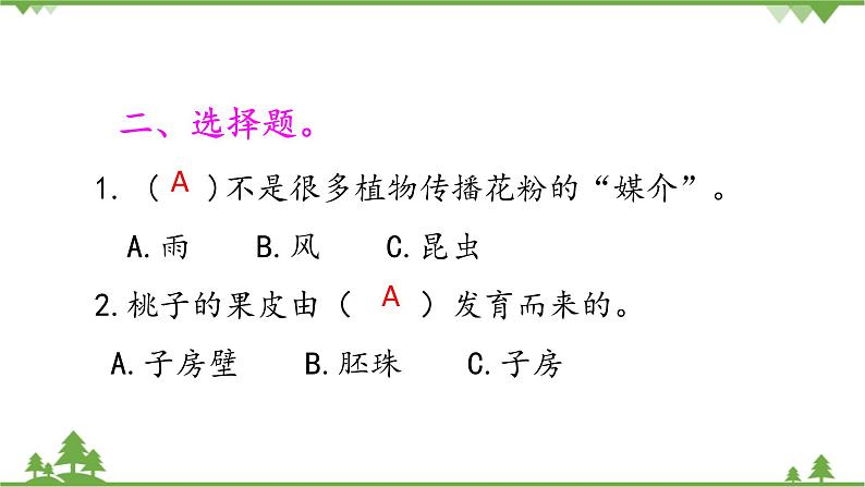 【精品资料】大象版 科学  三年级下册（全册）3.4《开放的花朵》课件ppt+练习ppt+素材03