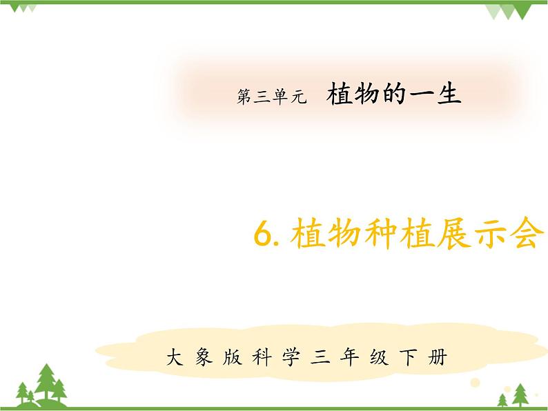 【精品资料】大象版 科学  三年级下册（全册）3.6《植物种植展示会》课件ppt+练习ppt01