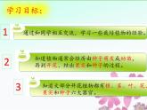 【精品資料】大象版 科學(xué)  三年級(jí)下冊(cè)（全冊(cè)）3.6《植物種植展示會(huì)》課件ppt+練習(xí)ppt