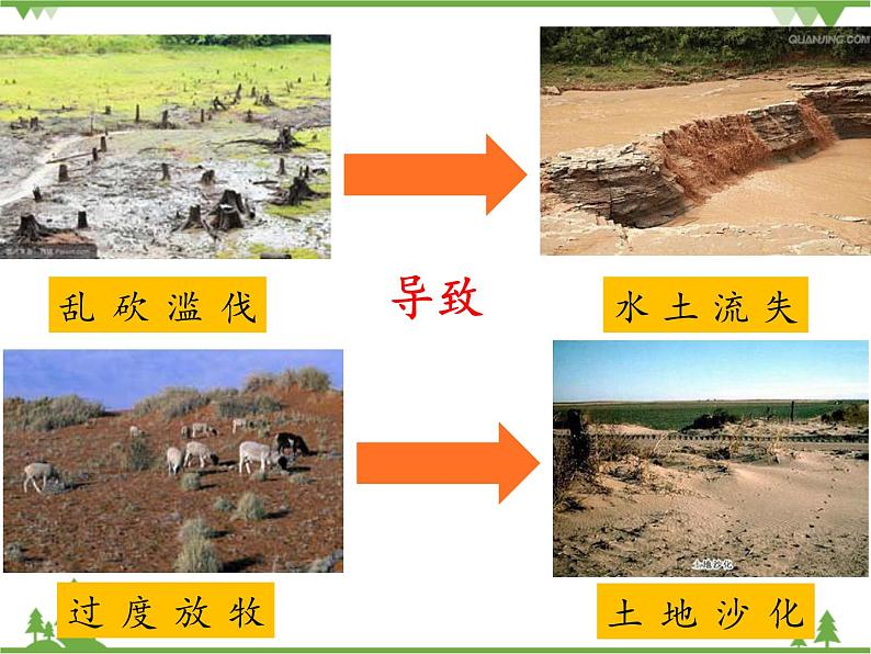 【精品资料】大象版 科学  三年级下册（全册）4.5保护土壤 课件ppt+练习ppt+素材07