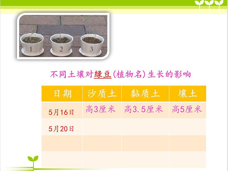 【精品资料】大象版 科学  三年级下册（全册）4.4土壤与植物 课件ppt+练习ppt08