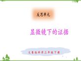 【精品资料】大象版 科学  三年级下册（全册） 反思单元 显微镜下的证据 课件ppt+练习ppt+素材