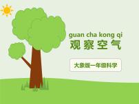 小学科学大象版 (2017)一年级下册3 观察空气示范课课件ppt