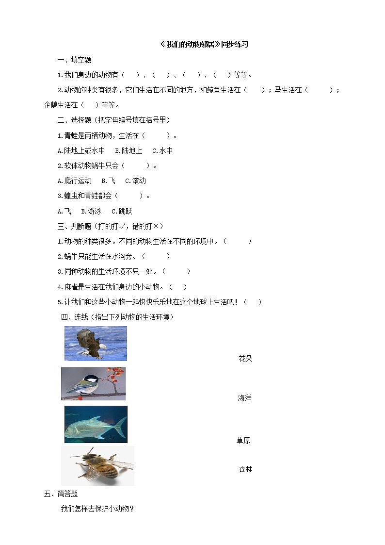 粤教粤科版科学一年级下册：4.12《我们的动物邻居 》课件PPT+教案+同步练习01