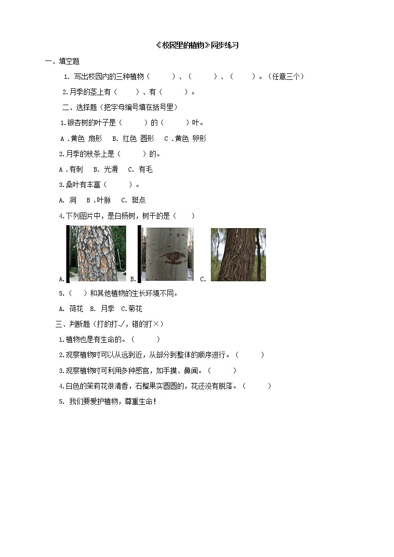 粤教粤科版科学一年级下册：4.14《校园里的植物》课件PPT+教案+同步练习01