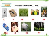 【精品资料】大象版 科学  二年级下册（全册）1.3《我们的家园》（课件+教案+练习）