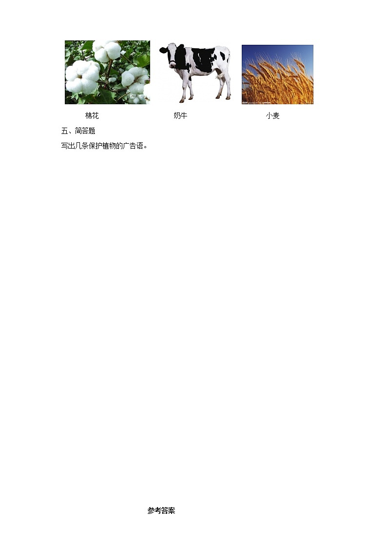 【精品资料】大象版 科学  二年级下册（全册）1.1《荒岛生存》（课件+教案+练习）02