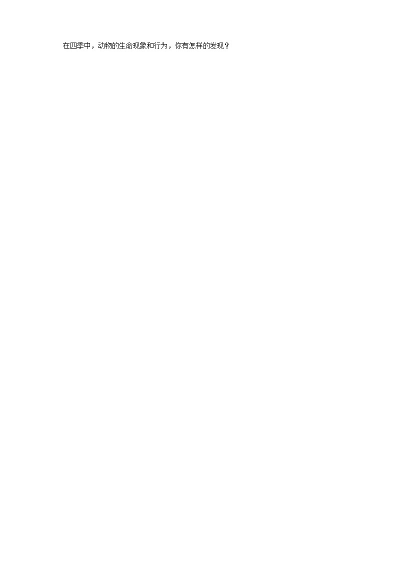 【精品资料】大象版 科学  二年级下册（全册）3.2《四季与动物》（课件+教案+练习）02